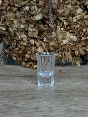 COPO MINI LILÁS 25ML - 10UN